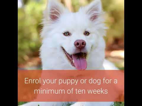 Promotional Video Demos