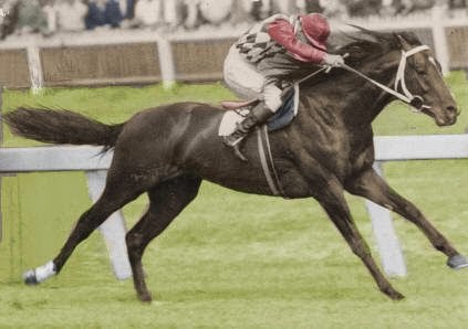 Read more about the article 70 years since Comic Court won the Melbourne Cup