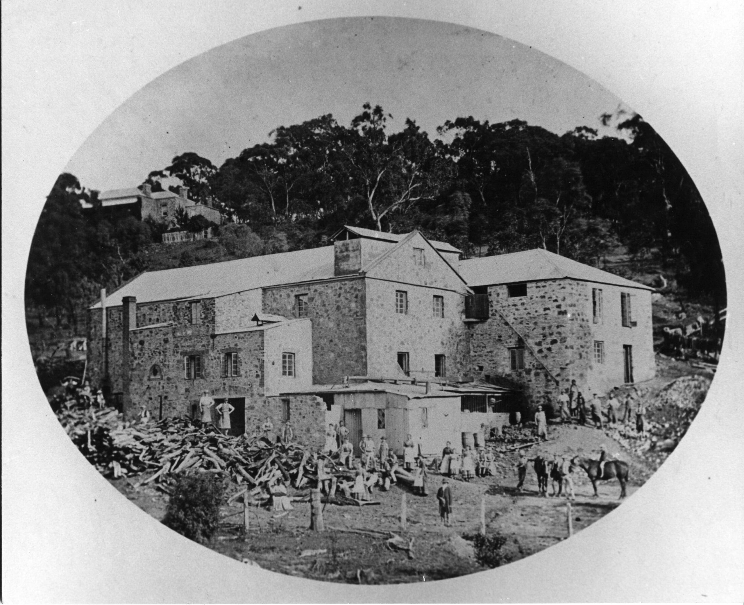 Read more about the article NEW BOOK out soon! The Biscuit Factory: Hidden history in Coromandel Valley
