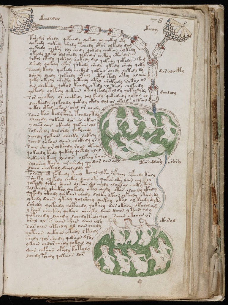 Internal pages from Voynich manuscript