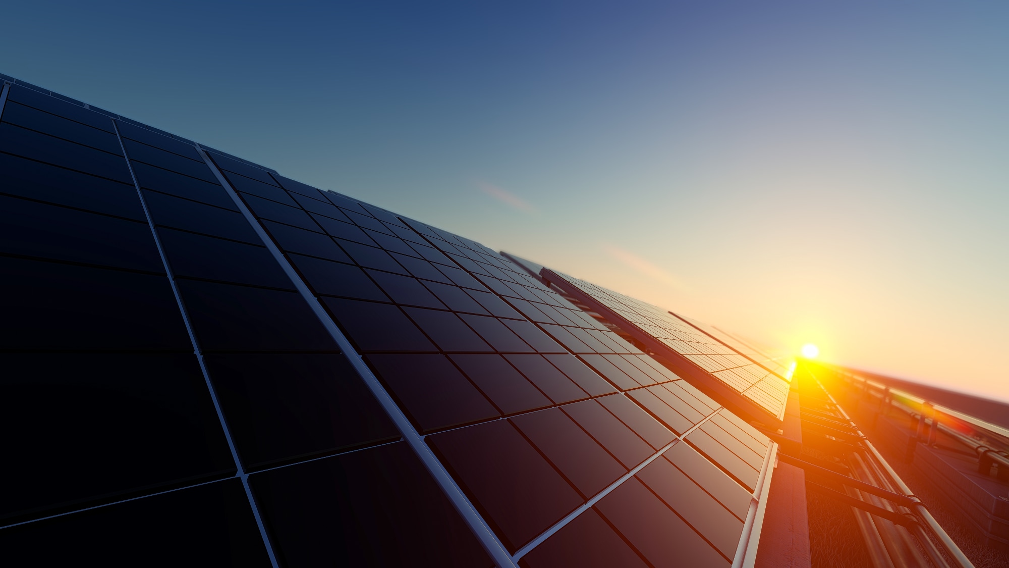 An image showing a setting sun shining down a row of solar panels