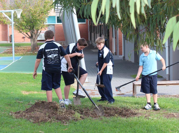 Students Digging