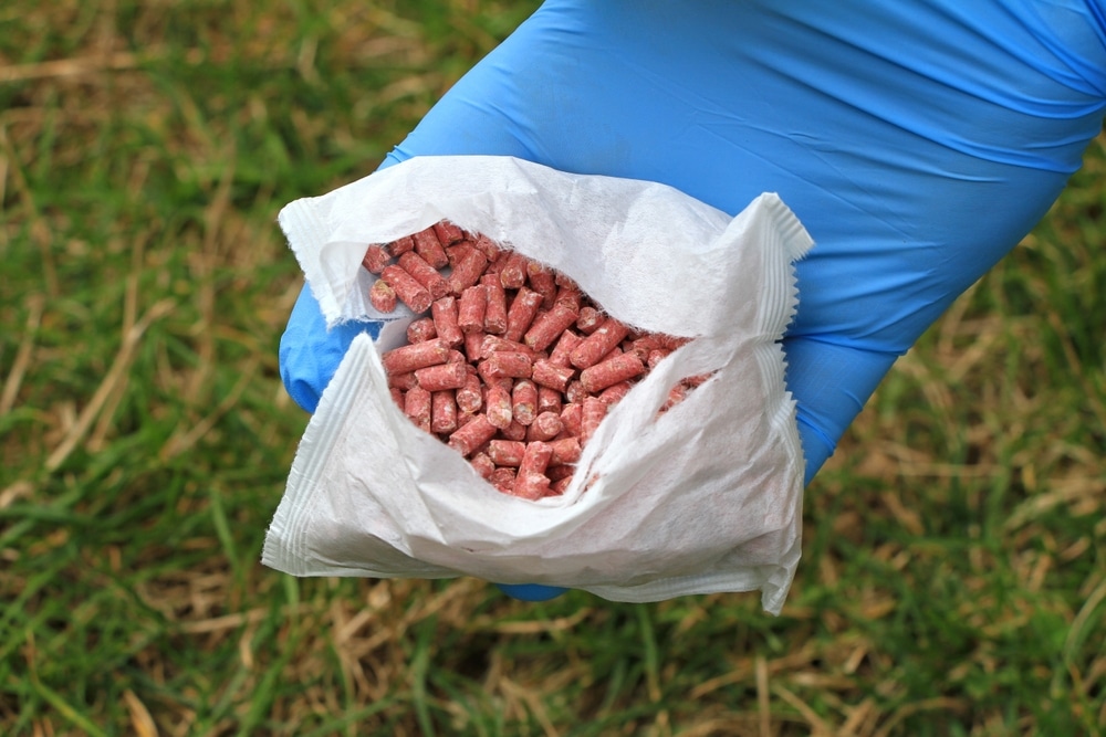Opened paper packet of poisoned rat bait granules containing SGARs