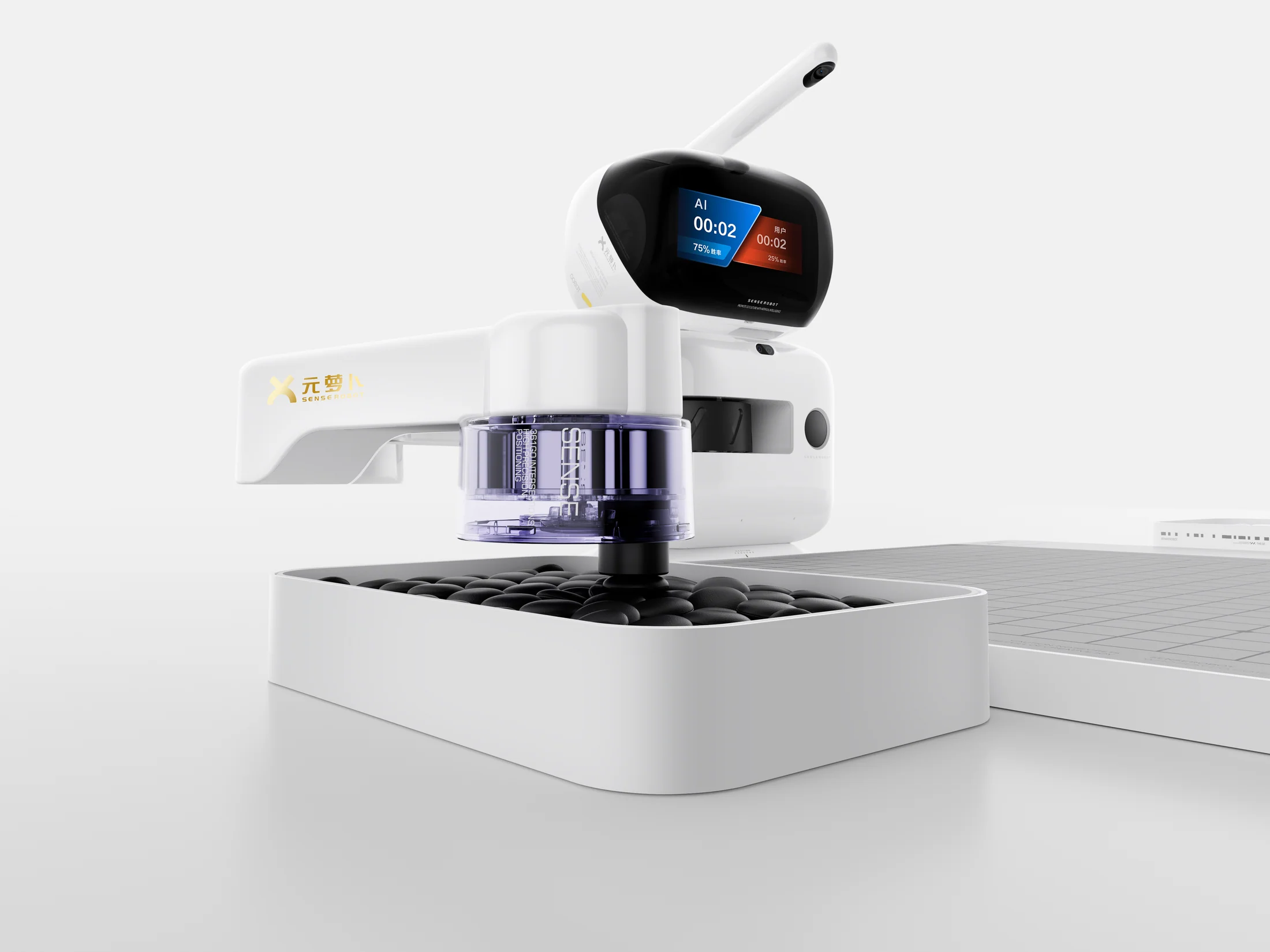 free the robots the balance レコード　新品未使用 free the robots the balance レコード 新品未使用 2025年最新