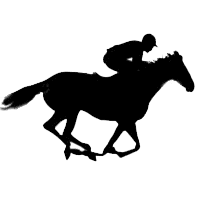 Melbourne Horse Racing Tips 