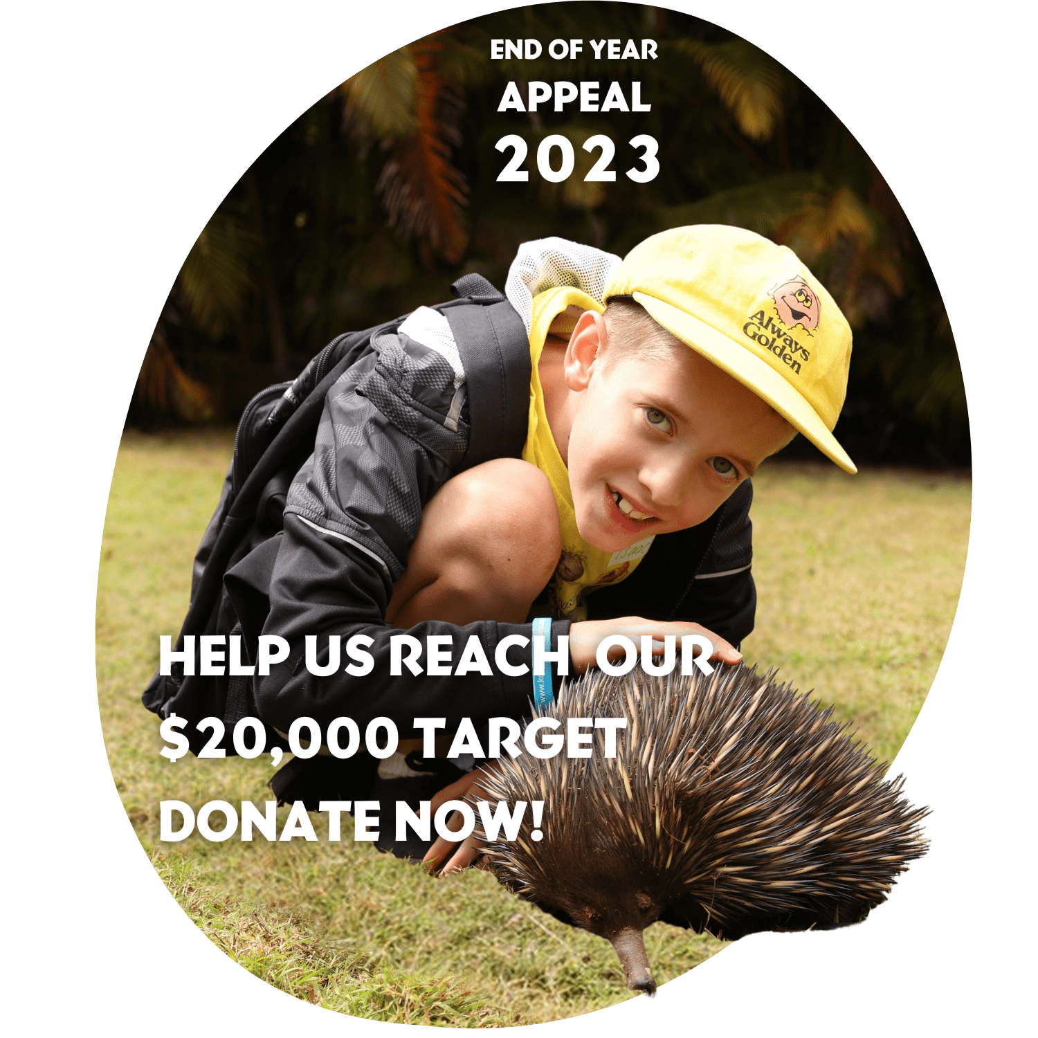 Can you help us? Please Donate to Sunset's End of Year Campaign