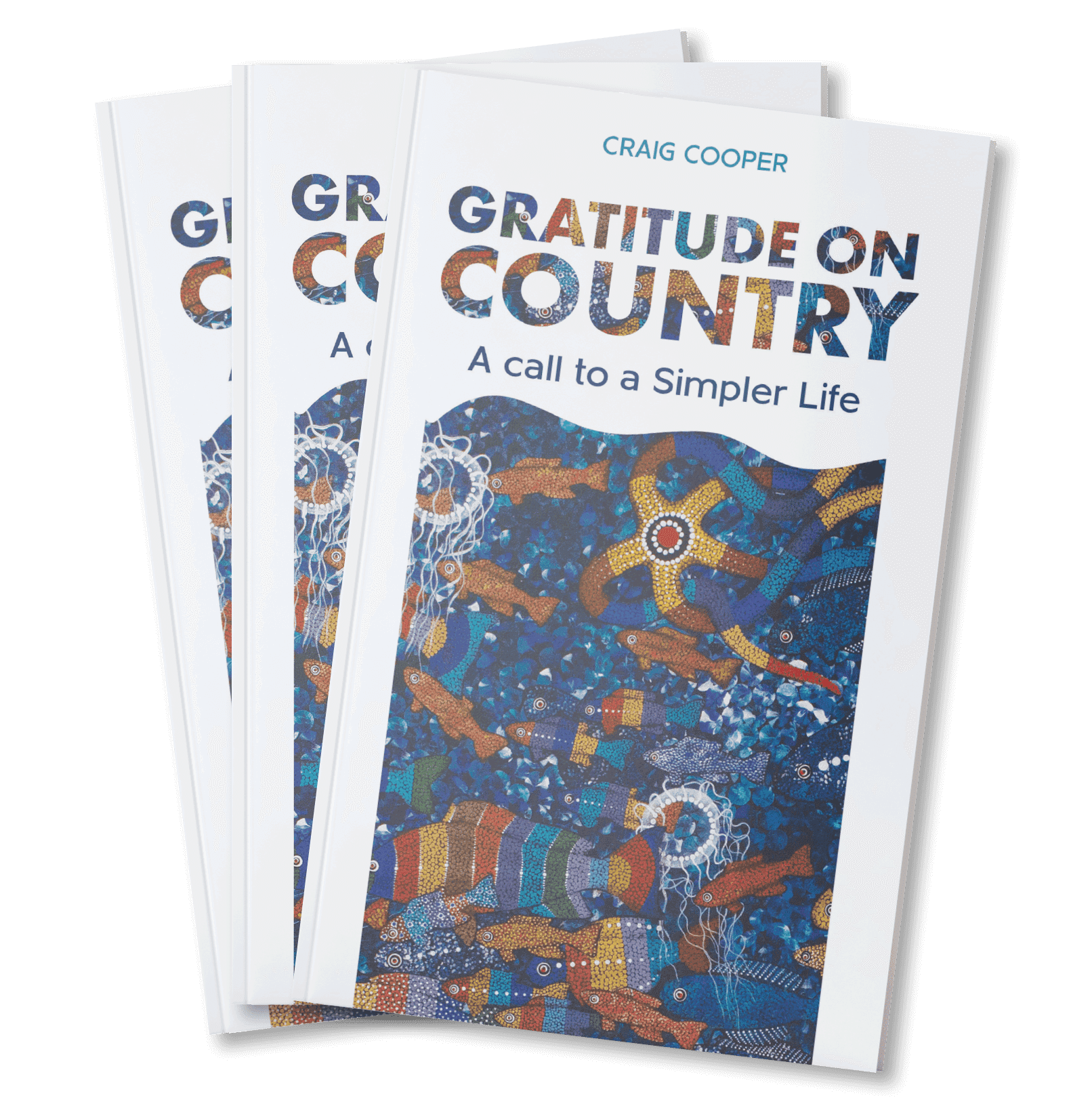 Gratitude on Country Book Cover