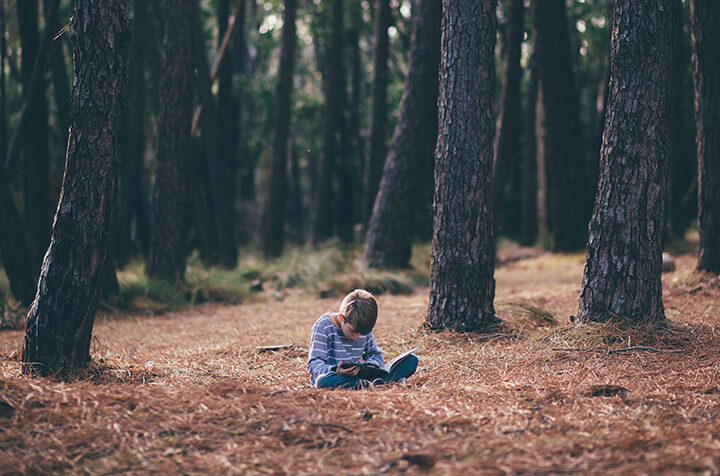 Image of young bot sitting alone in expansive forest reading a book