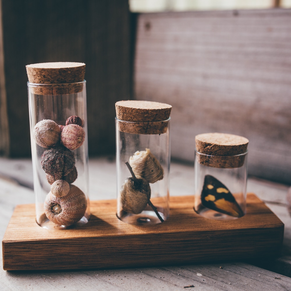 Nature Collection Jars