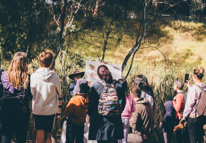 A group of people on a nature walk