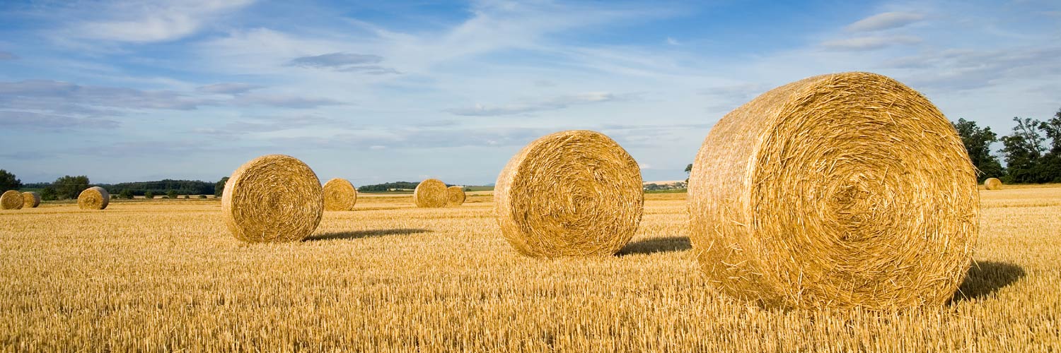 Net Wrap Bale Netwrap Australia