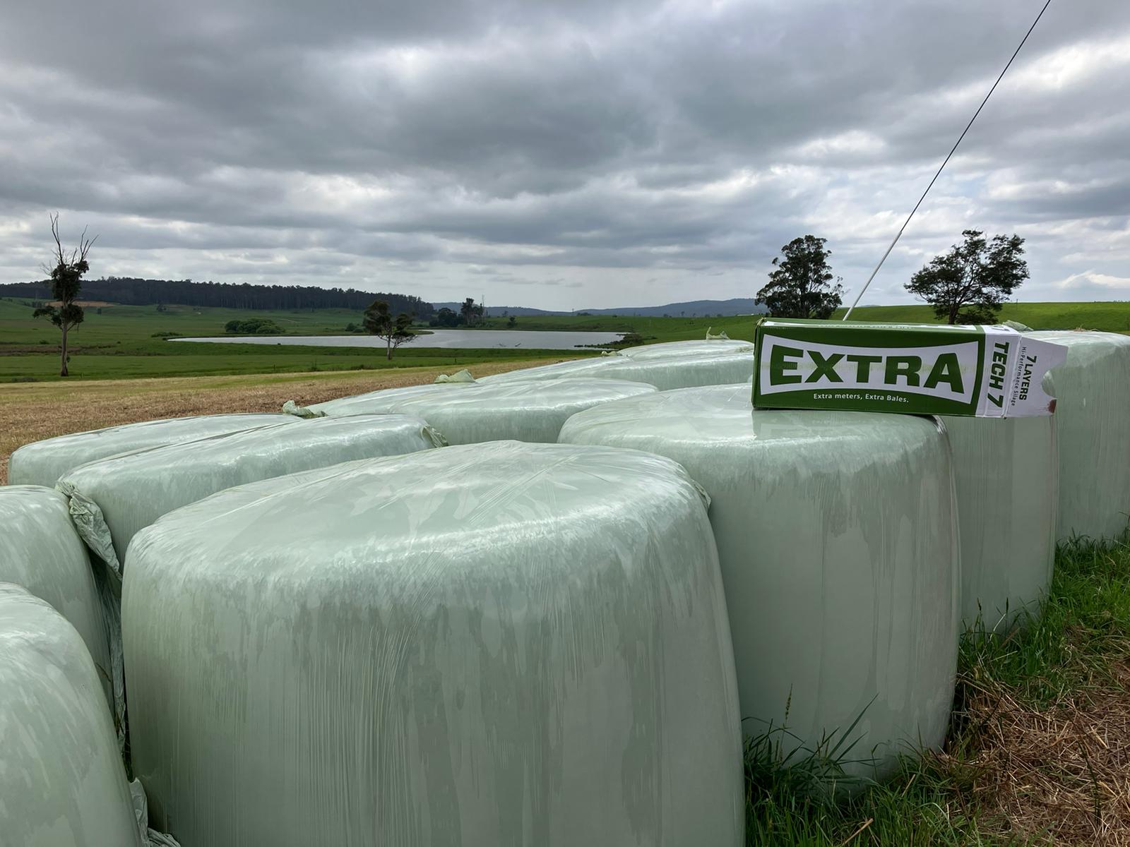 A rural landscape showcasing green silage bales wrapped in premium silage film, preserving silage and livestock feed while protecting against UV degradation.