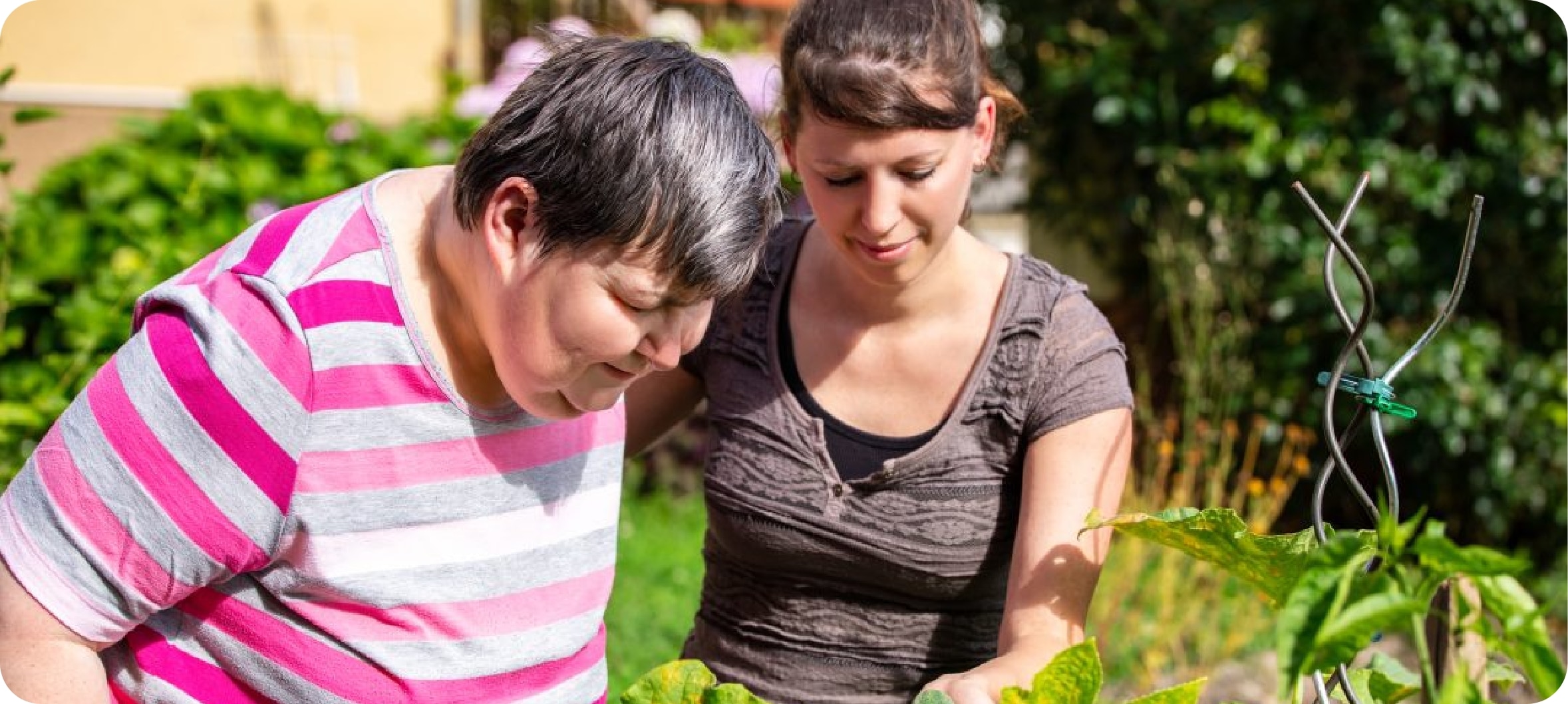 iStock-1336669527-1080x675 iStock-1336669527-1080x675