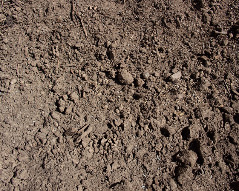 Garden Blend Paragalli Haulage