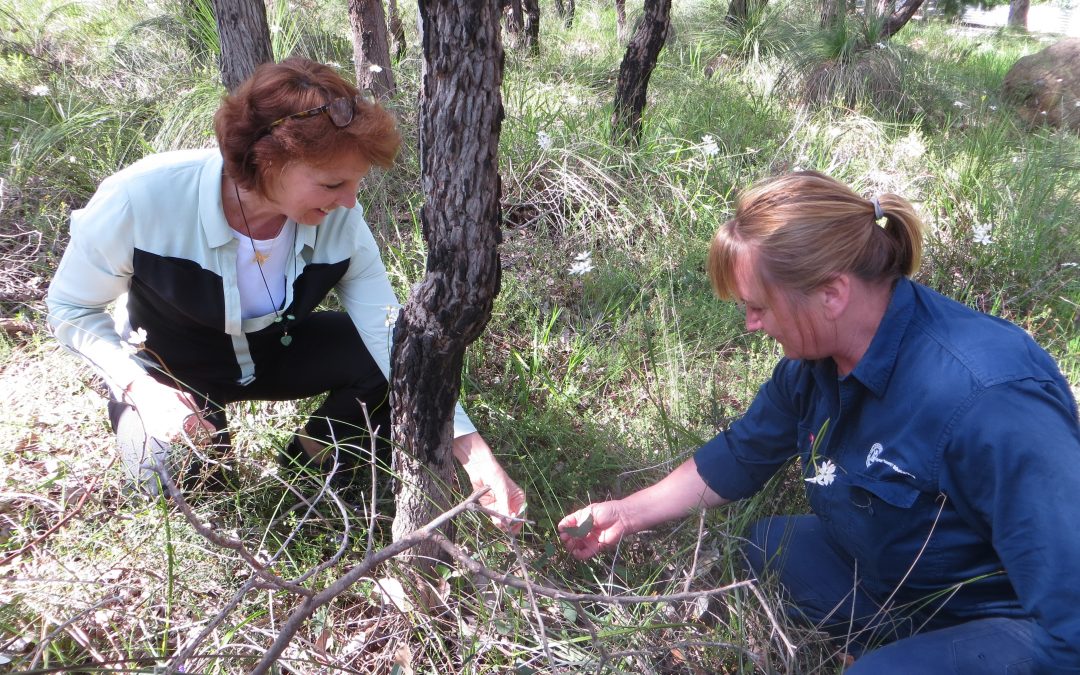 North Dandalup Primary School takes action on bushland