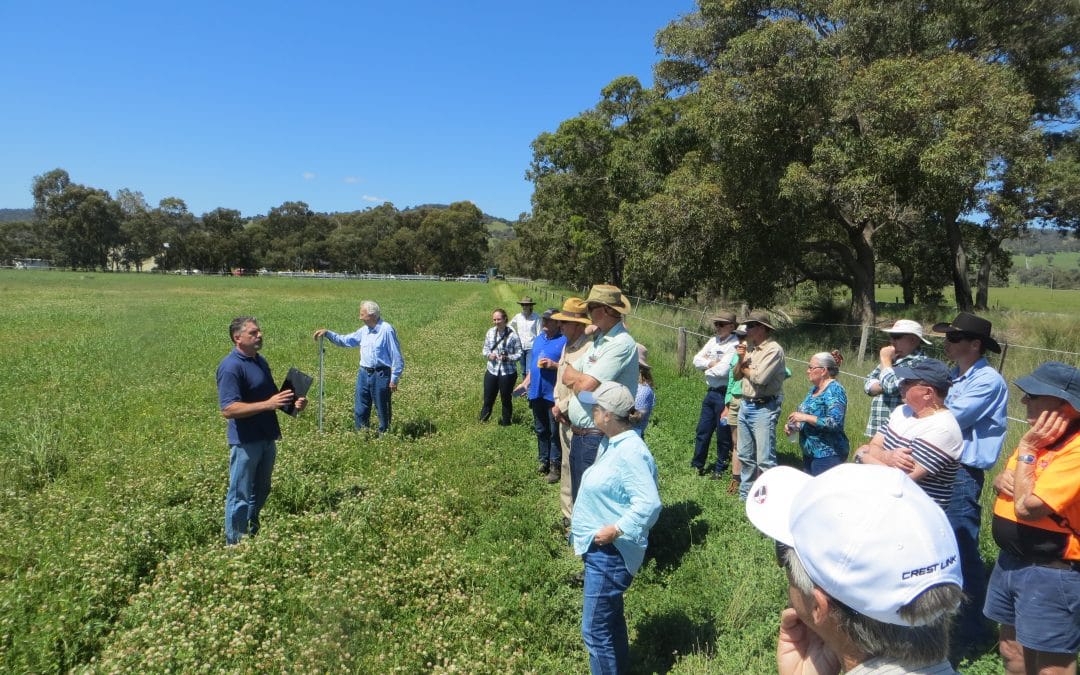 North Dandalup Farm Field Walk shows that it pays to test the paddock