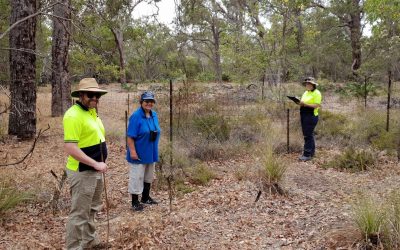 Bushland Action Plan for Lake Mealup