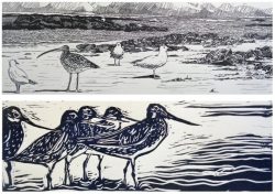 Migratory Bird Print Making Workshop