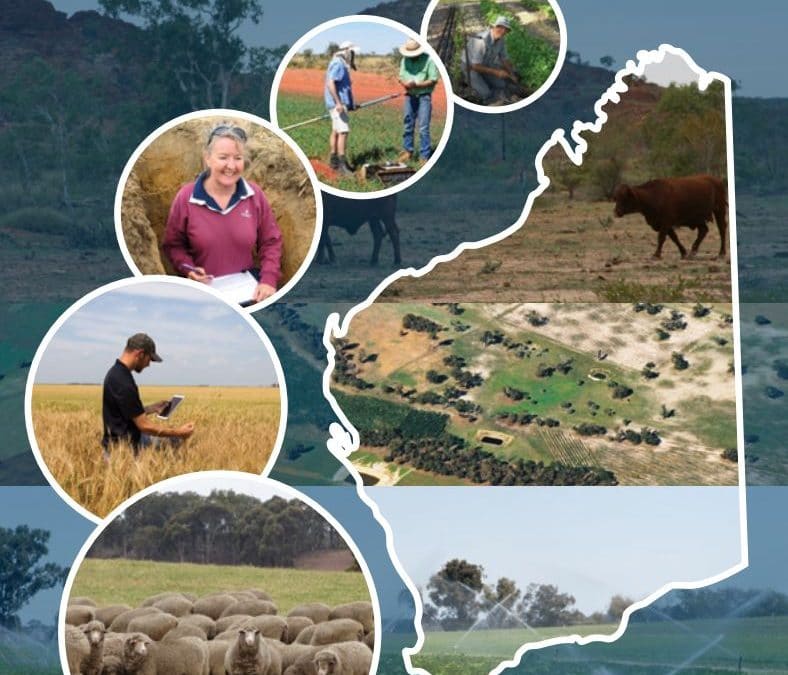 Western Australian Soil Health Strategy Draft 2020 open for stakeholder feedback
