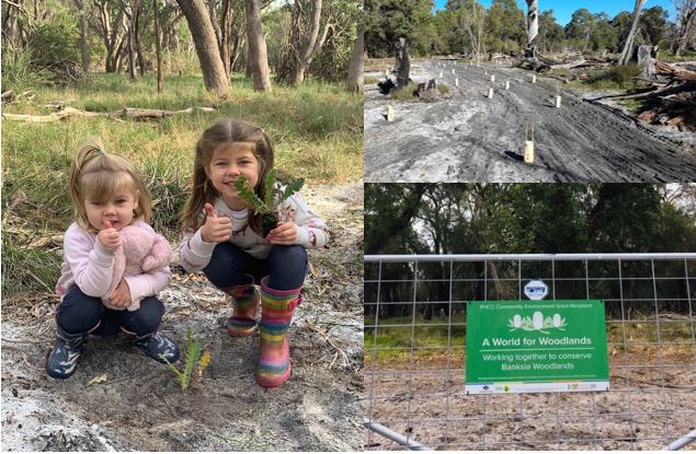 Welcome to the next generation of Banksia Woodland custodians