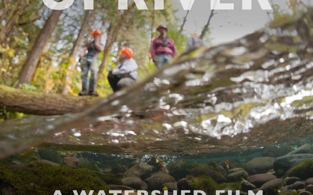 Harvey River Festival: UPRIVER Outdoor Feature Screening