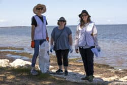 Clean Up Month: Dawesville; Estuary Guardians & Mandurah Health (Closed Event)