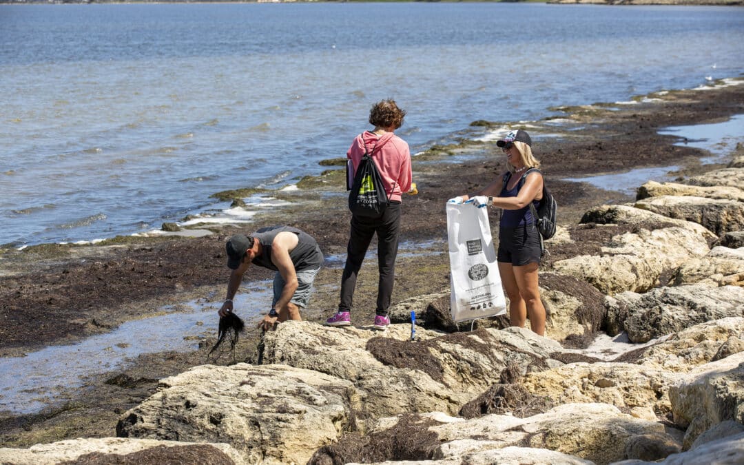 Clean Up Month: Channel Island Reserve; Friends of Rivers, Peel