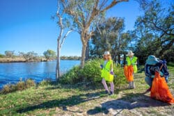 Clean up Month: Cantwell Park, Shire of Murray & Peel-Harvey Catchment Council