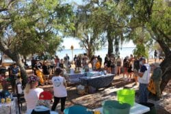 Clean Up Month: Island Point Reserve, Lake Clifton-Herron Residents Assoc. Inc