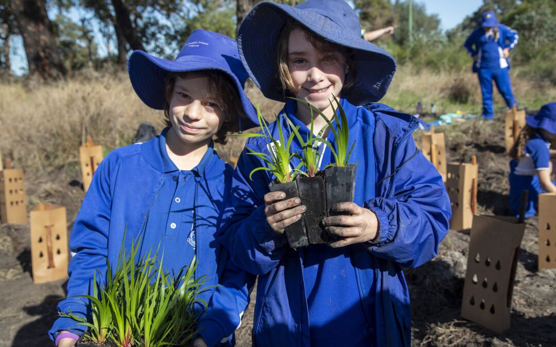 Schools Tree Planting Day