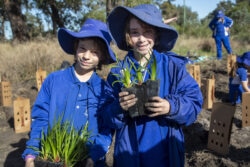 Schools Tree Planting Day