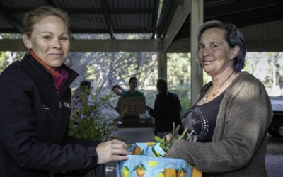 Keeping Lake Clifton green with another 1,500 seedlings given away