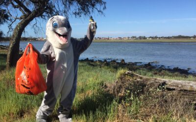 Clean Up Australia Month – Do It For The Dolphins!