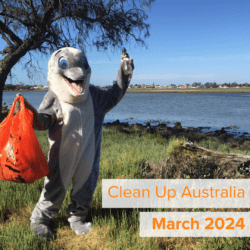 Clean Up Month: Island Point Reserve, Herron with the Lake Clifton Landcare Group