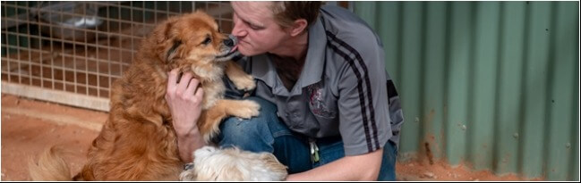 Committed Team for Pet Boarding Port Augusta Committed Team for Pet Boarding Port Augusta