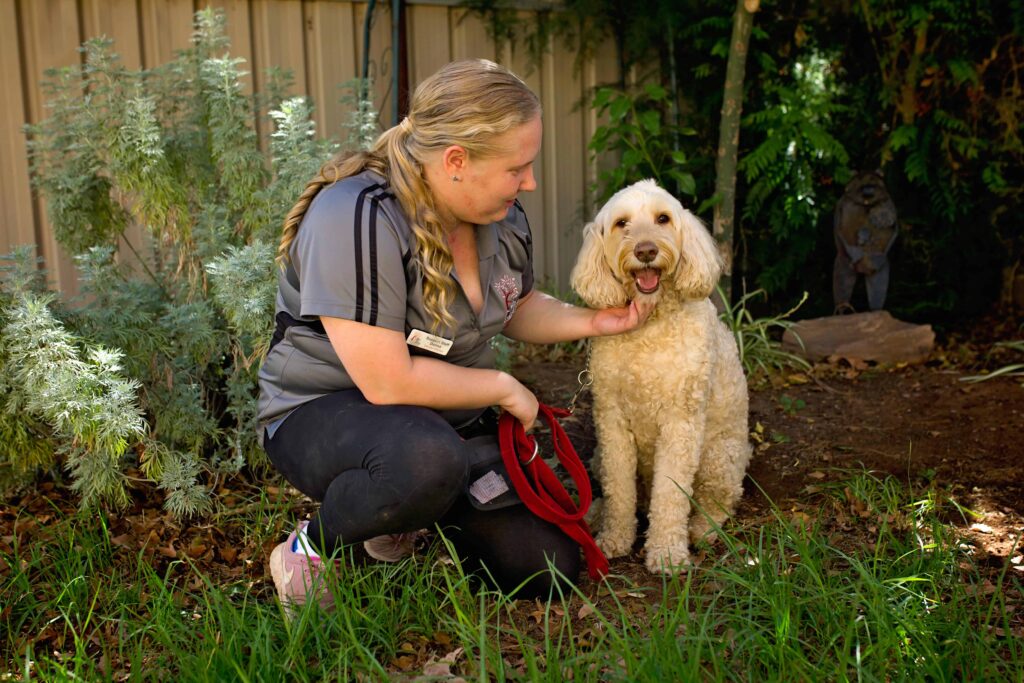 Pet Boarding Redgum Vet and Pet Boarding