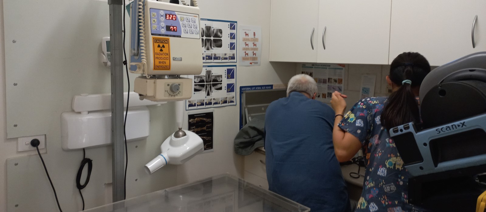 Xray-cytology area Xray-cytology area