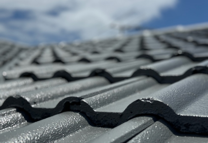 Roof Painting Services