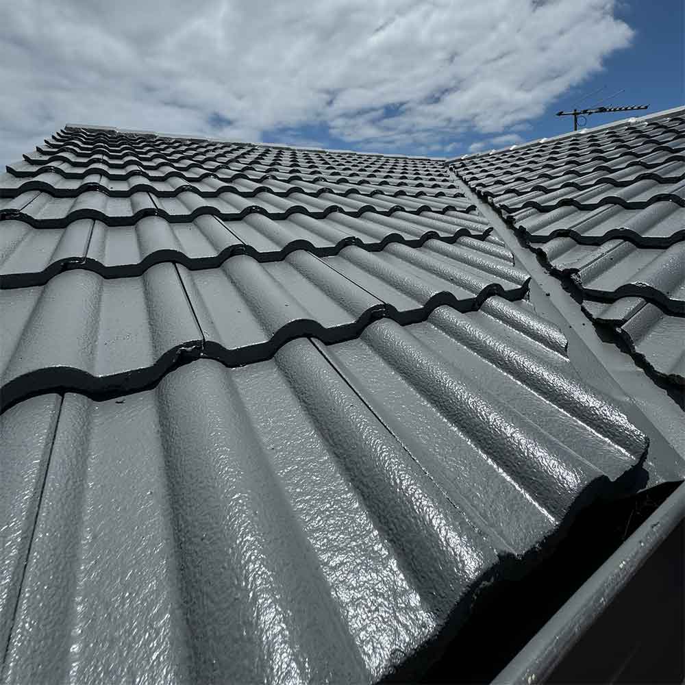 Roof-Painting-Adelaide-2 Roof Painting Adelaide