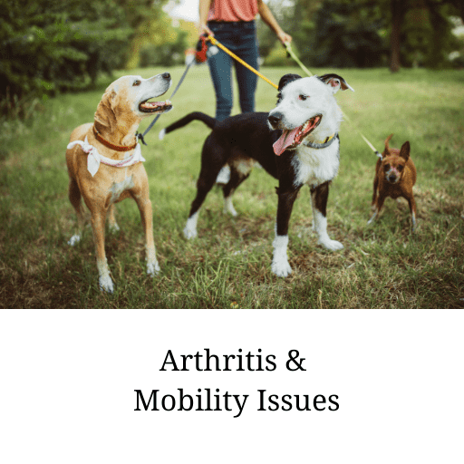 Arthritis