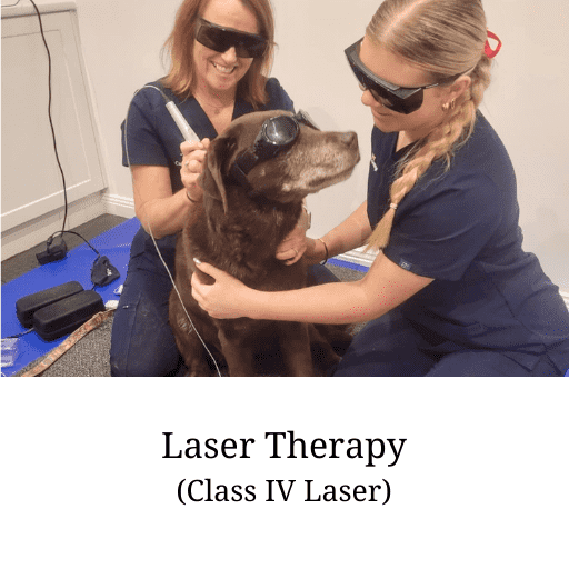 Laser Therapy