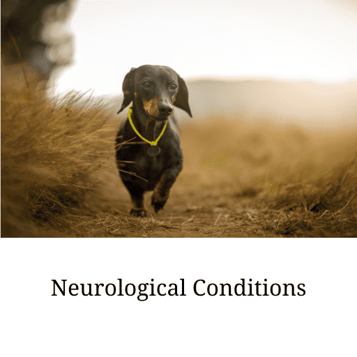 Neuro conditions