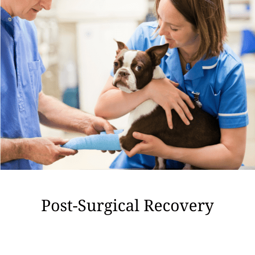 Post surgery recovery