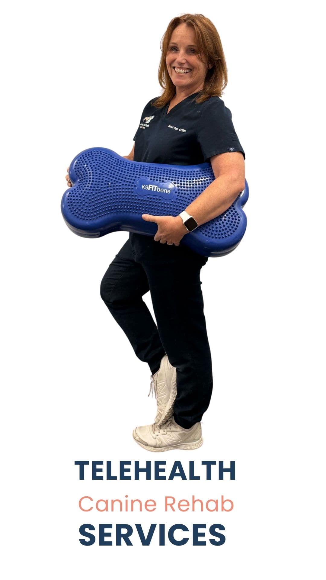 Telehealth SM Rehab Telehealth