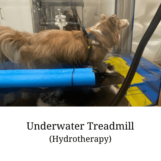 Underwater treadmill