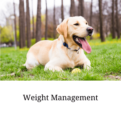 weight management