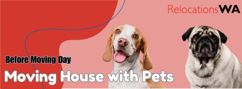 moving house with pets: before moving