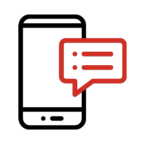 Regular Interstate Pet Transport Updates