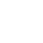 CHIROPRACTIC - WHITE CHIROPRACTIC - WHITE