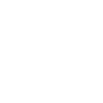 DRY NEEDLING THERAPY - WHITE DRY NEEDLING THERAPY - WHITE